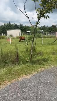 Đất nền mặt tiền Lộc Vĩnh, An Tịnh, 115m² chỉ 620 triệu - Cơ hội vàng đầu tư!