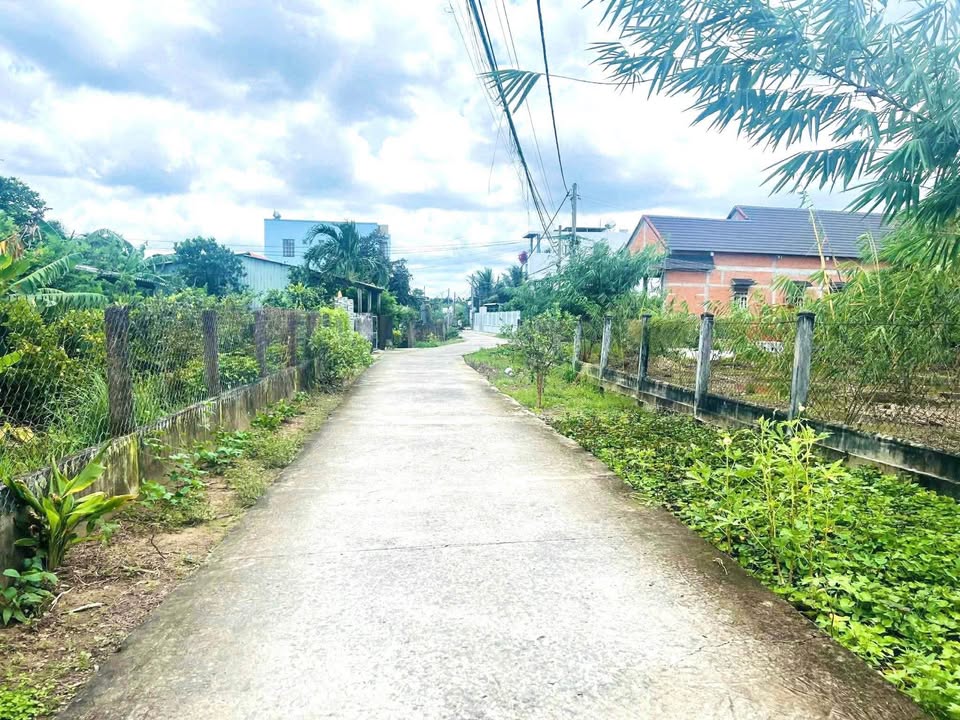 Đất thổ cư 175m² tại Thị trấn Tầm Vu, Châu Thành, giá 950 triệu - Sổ đỏ chính chủ