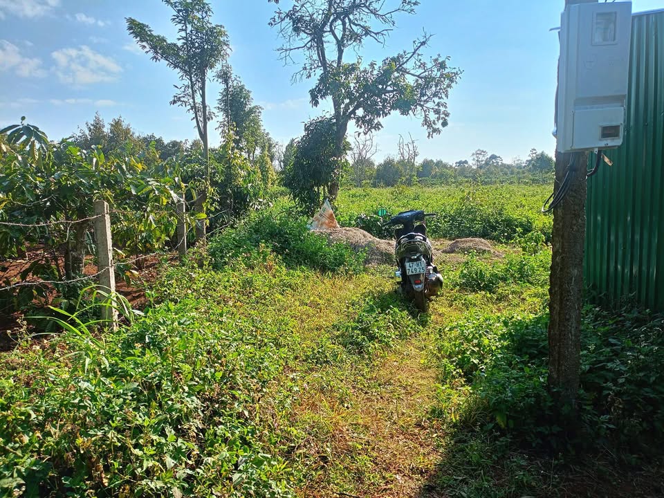 Đất nền 1476m² tại Thôn 3, Xã Đắk Drô, giá 1.5 tỷ - Đầu tư sinh lời!