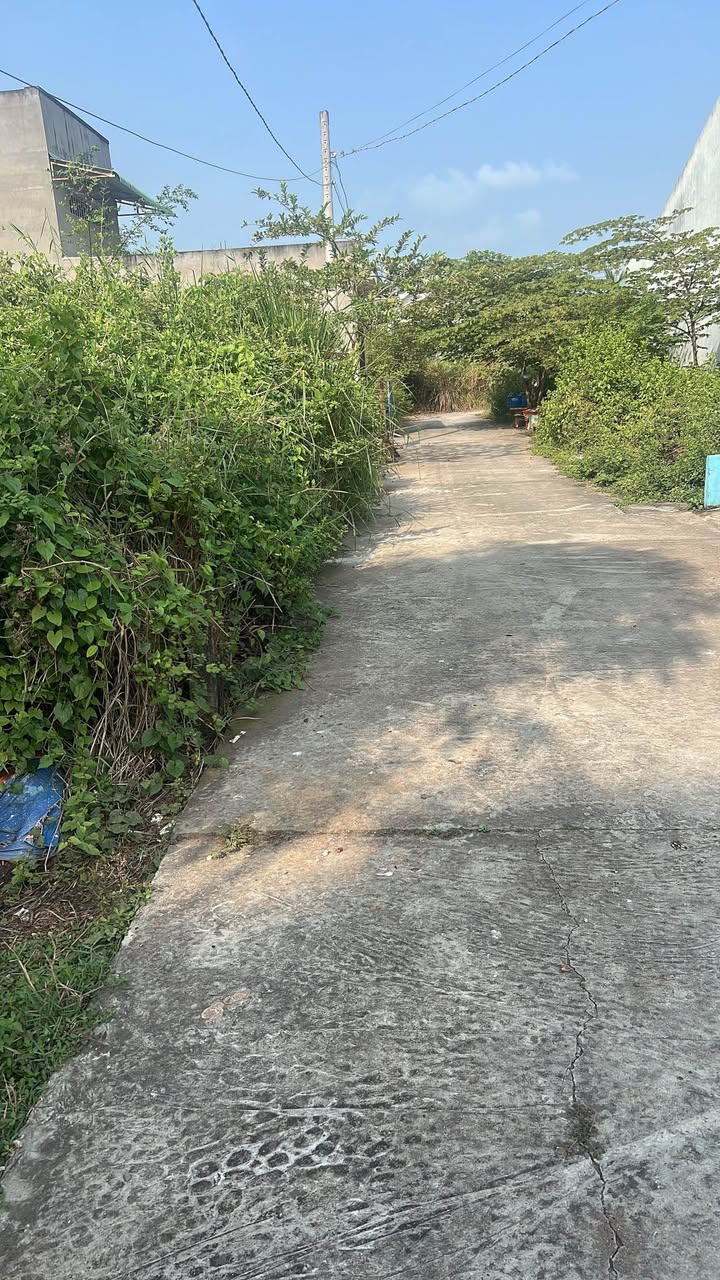 Đất thổ cư Phường 3, TP. Tân An 86m² giá 1.05 tỷ - Đầu tư sinh lời lý tưởng!