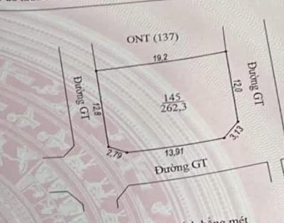 Đất nền Xóm Bắc Xuân, Diễn Xuân 262,3m² giá chỉ 1,55 tỷ - Cơ hội đầu tư hiếm có!