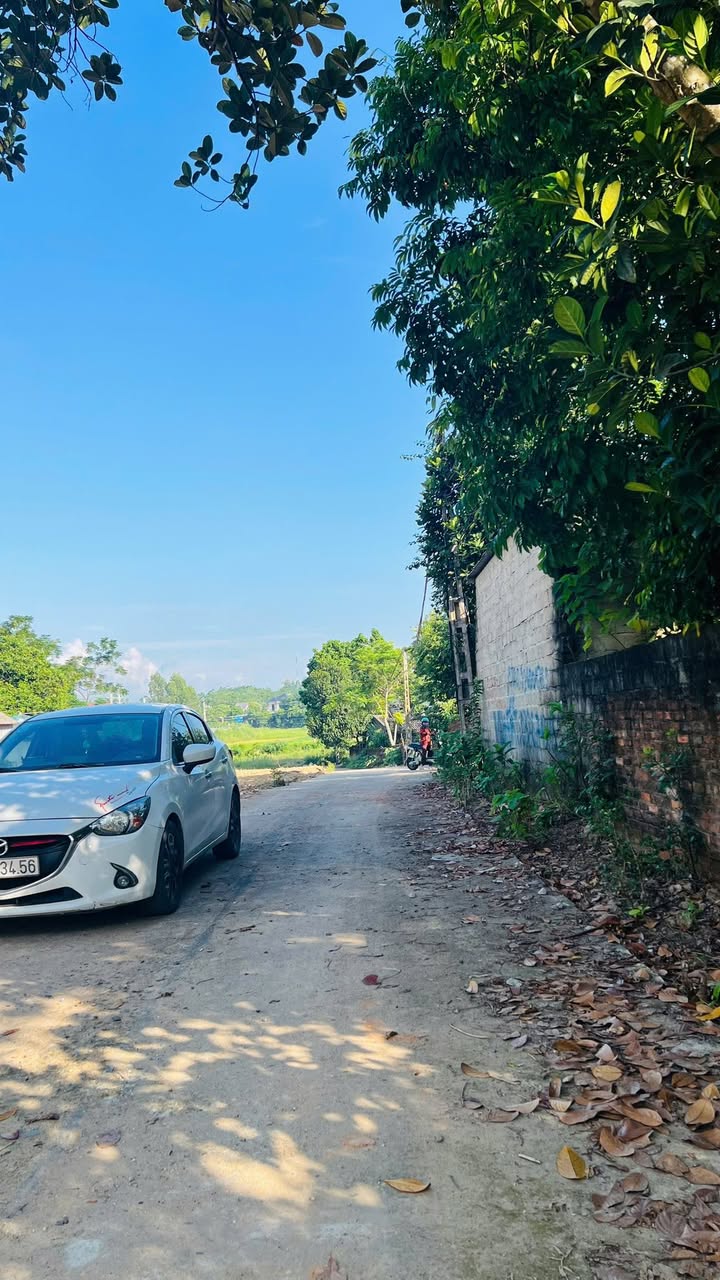 Đất nền tại Thôn Quế, Hướng Đạo, 100m² giá 1.3 tỷ - Tiềm năng tăng giá mạnh!