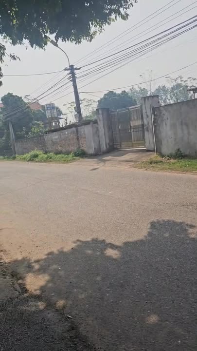 Đất nền Kim Long Tam Dương 104m² giá 900 triệu - Đầu tư sinh lời ngay!