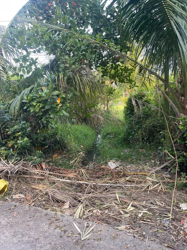 Đất nền Thới An, Ô Môn 87m² giá 280 triệu - Sẵn sàng xây dựng ngay!