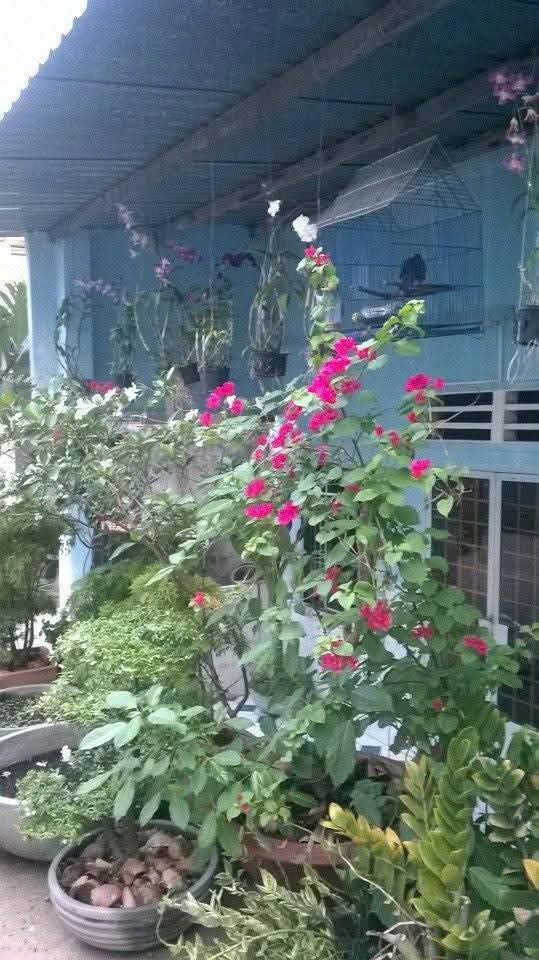 Nhà cấp 4 cho thuê tại Biên Hòa, 90m² chỉ 4 triệu/tháng - Khu vực yên tĩnh, an ninh!