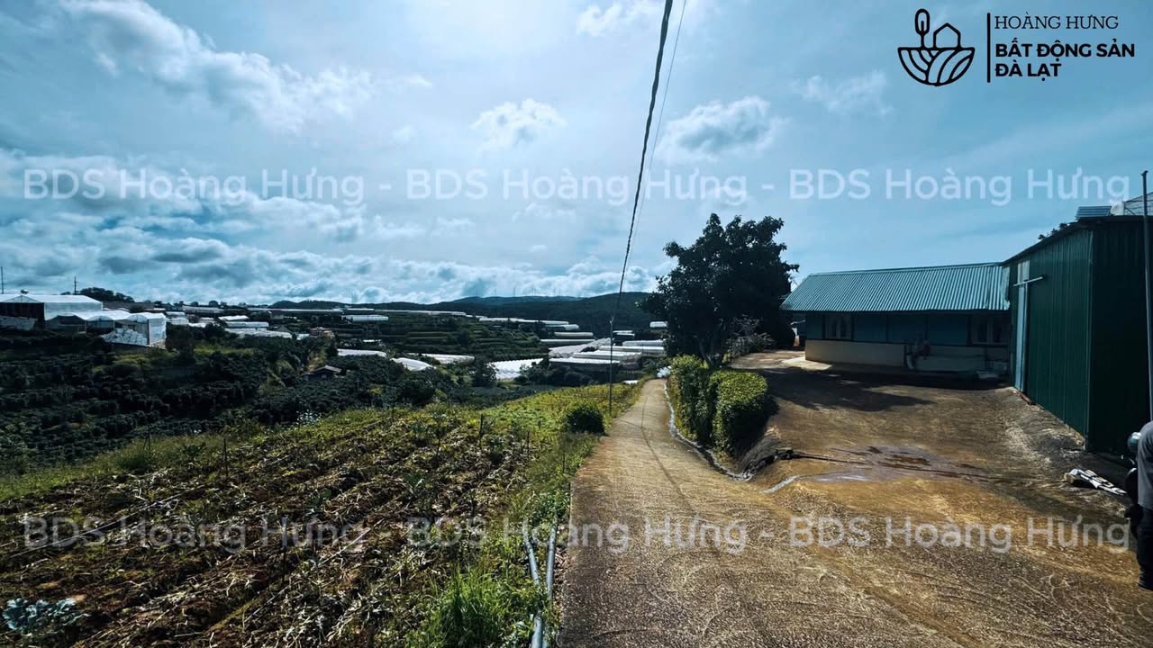 Đất nông nghiệp 1550m² tại Xuân Thọ, Đà Lạt - View điện gió tuyệt đẹp chỉ 4.5 tỷ!