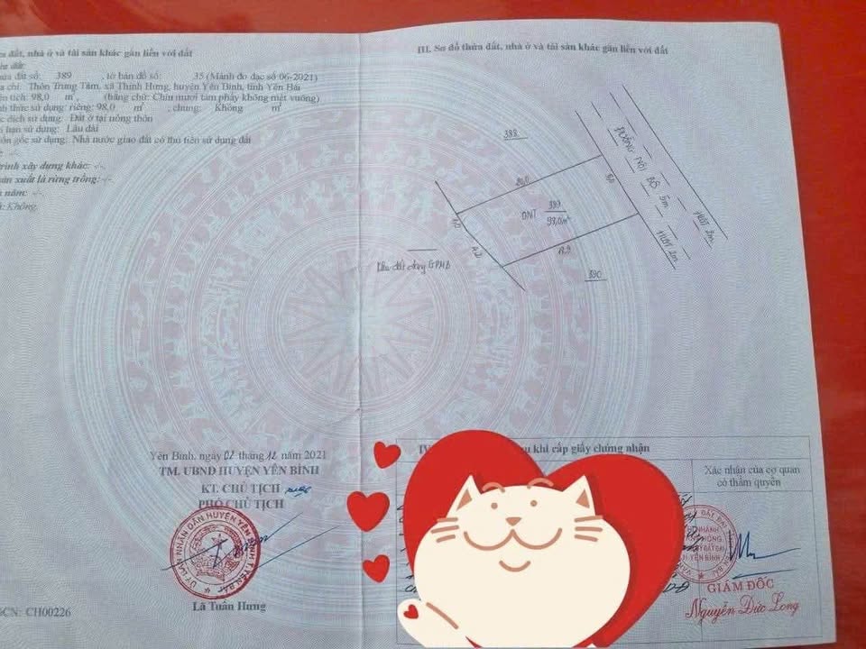 Đất thổ cư 100m² tại xã Thịnh Hưng, giá chỉ 500 triệu - Cần bán gấp!