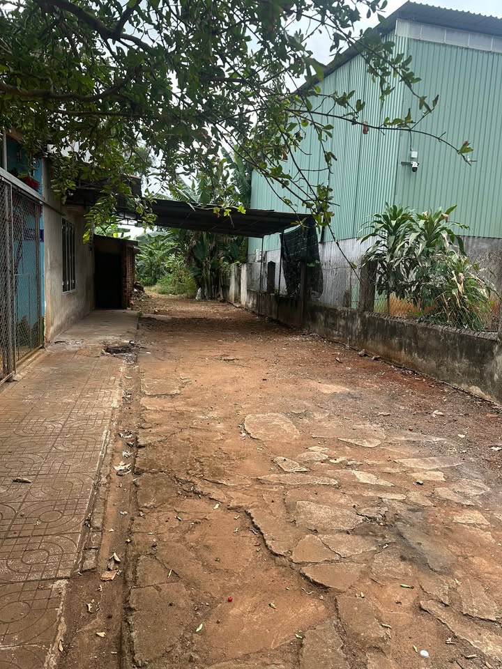 Đất nền thổ cư 200m² tại Ngãi Giao, Bà Rịa - Vũng Tàu giá 2.35 tỷ - Cơ hội đầu tư lý tưởng!