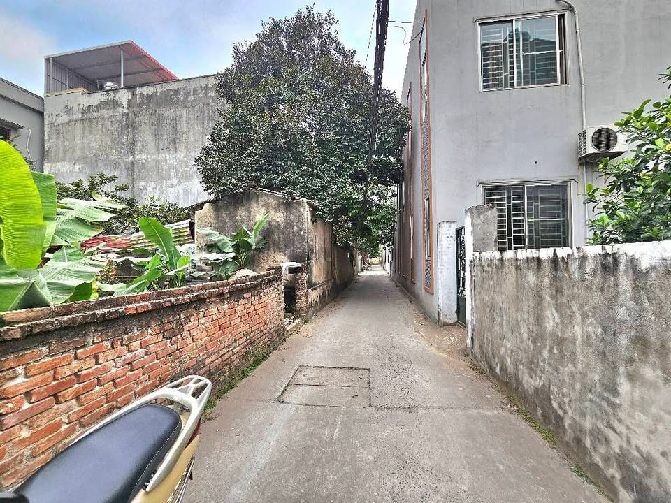 Đất Tình Quang, Long Biên 65m² giá 6 tỷ - Vị trí tuyệt đẹp, ô tô vào tận nơi!