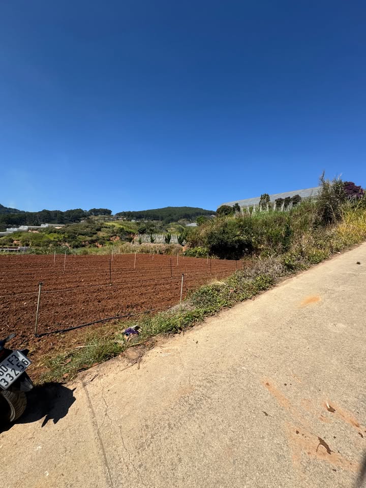 Đất nền tại Minosa, Đà Lạt 2780m² chỉ 7 tỷ - Cơ hội đầu tư hấp dẫn!