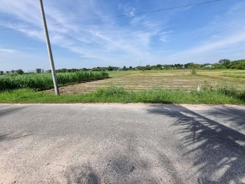 Đất thổ cư 315m² tại Trương Thị Kiện, Củ Chi giá 4.5 tỷ - Thương lượng ngay!