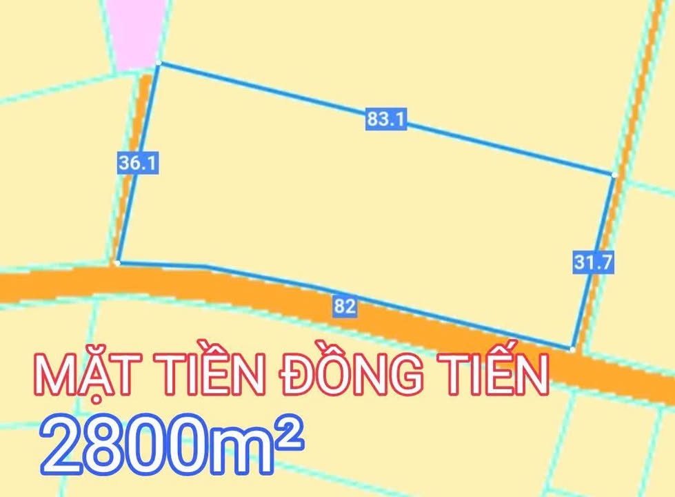 Đất nền Xã Bà Điểm 3000m² giá 36 tỷ - Mặt tiền đường nhựa lớn, tách thửa lý tưởng!