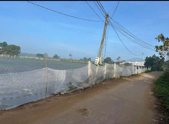 Đất nền thổ cư 1656m² tại Đức Trọng, Lâm Đồng giá chỉ 10 tỷ - Đầu tư sinh lời ngay!