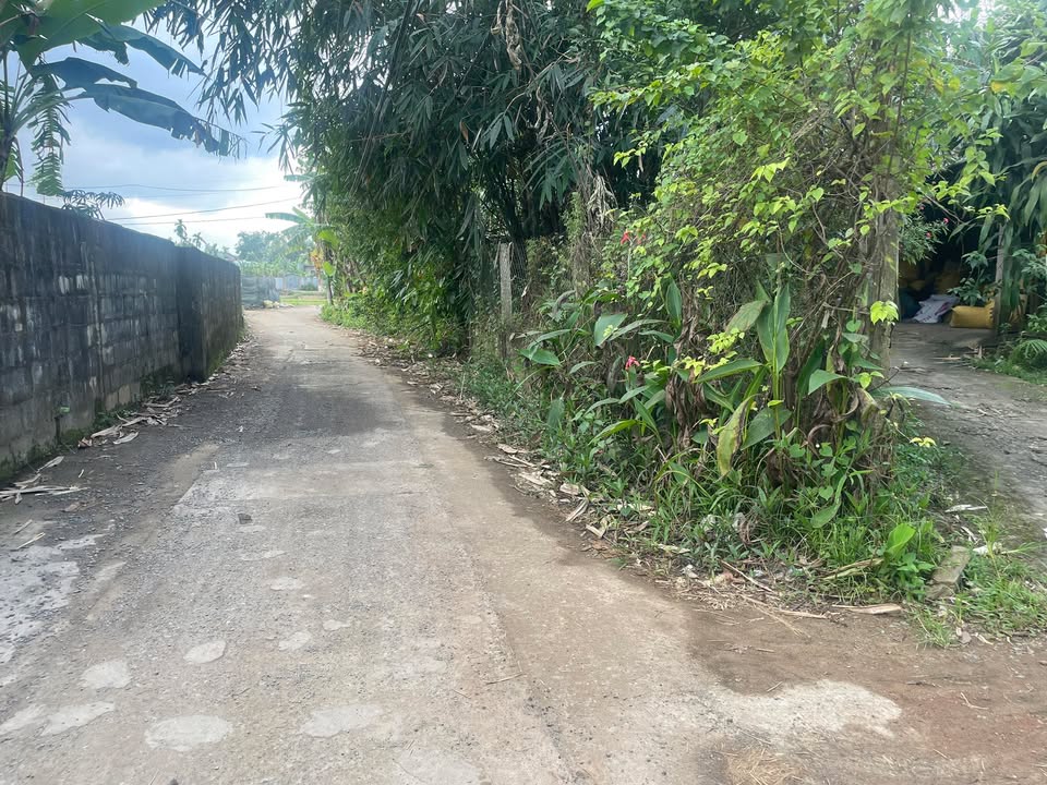 Đất nền xã Hòa Nhơn, Huyện Hòa Vang, Đà Nẵng 129m² giá 1.1 tỷ - Đường rộng 18m