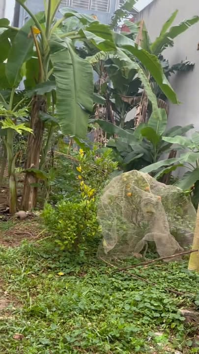 Đất nền trung tâm Thanh Thủy 105m² - Cơ hội đầu tư hiếm có!