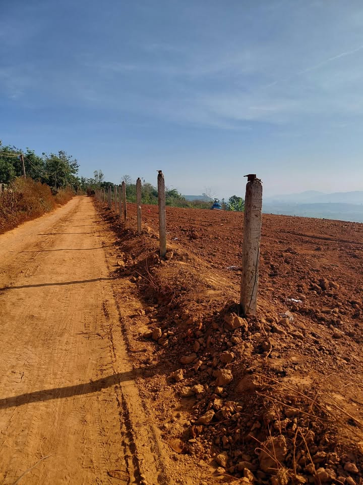 Đất Farm thôn Tân Lập, Đan Phượng, 10,800m² - Cơ hội đầu tư tuyệt vời!