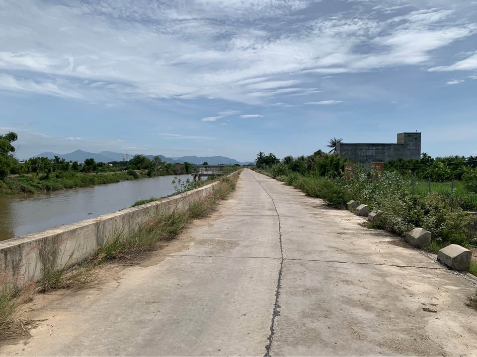 Đất nền thôn Tuấn Tú, Ninh Phước 1149m² giá chỉ 599 triệu - Đầu tư tuyệt vời!