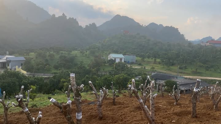 Đất nền trung tâm Thái Hòa, 7200m² giá 3 tỷ - Cơ hội đầu tư hiếm có!