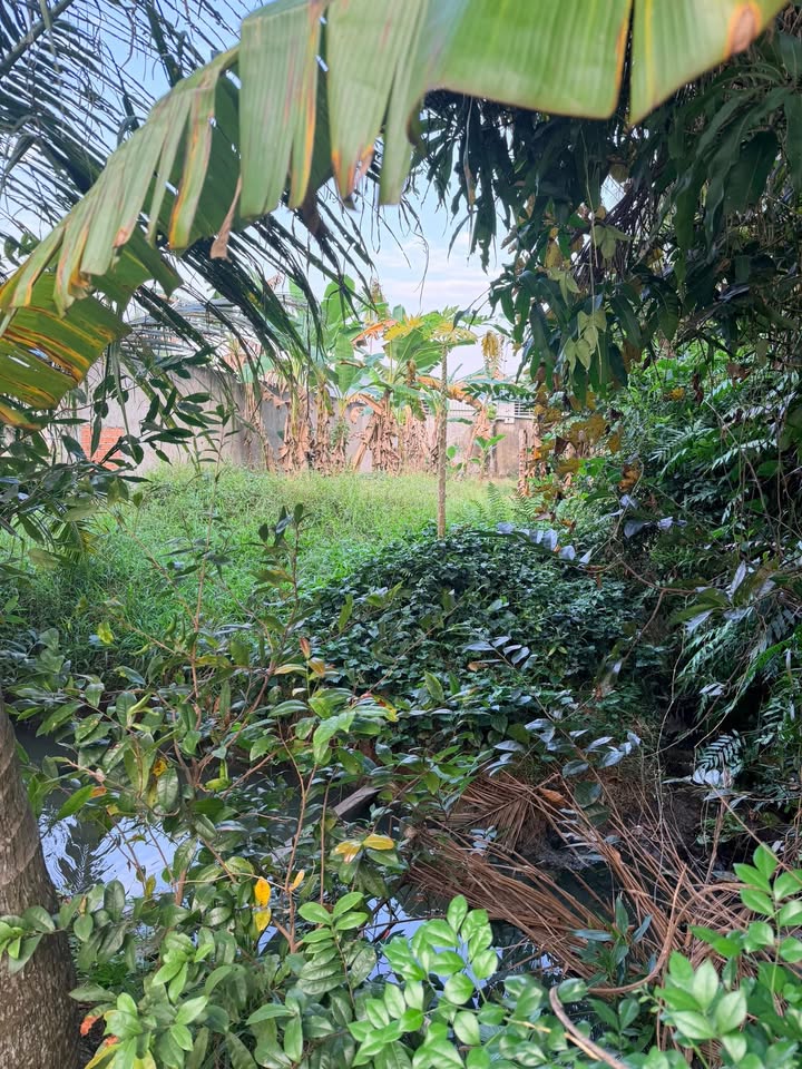 Đất thổ cư 192m² tại Phước Thạnh, Mỹ Tho - Gần đường 30/4, giá 1.6 tỷ!