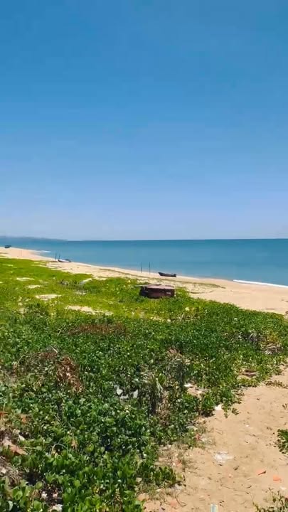 Đất nền mặt tiền biển Hoài Hải, Bình Định 190m² giá chỉ 2 tỷ - Cơ hội đầu tư hấp dẫn!