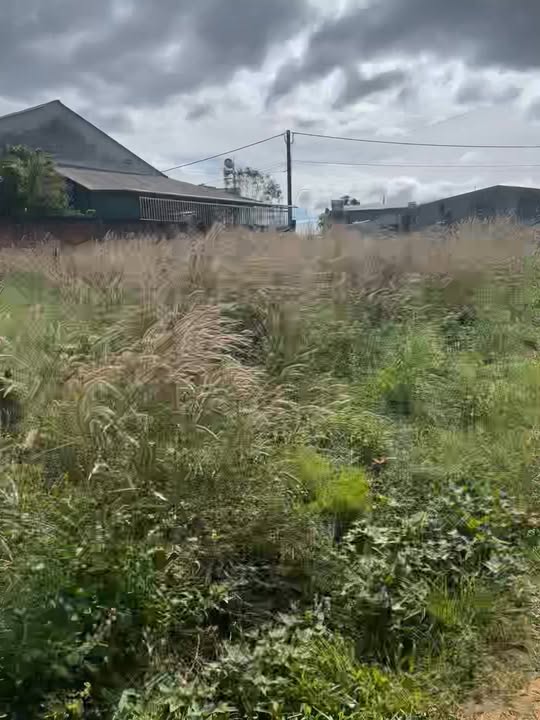 Đất nền Đắk Hà 198m² giá thương lượng - Vị trí đắc địa, dân cư đông đúc!