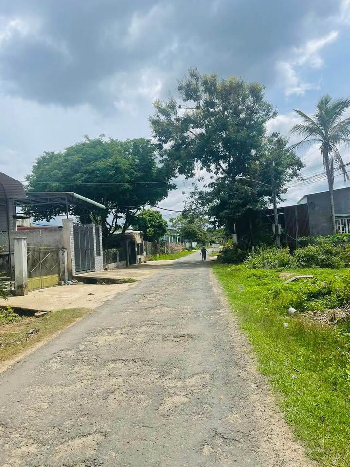 Đất thổ cư mặt đường nhựa thôn 4 Đắk Cấm 165m² giá chỉ 3xx triệu - Vị trí kinh doanh đắc địa!