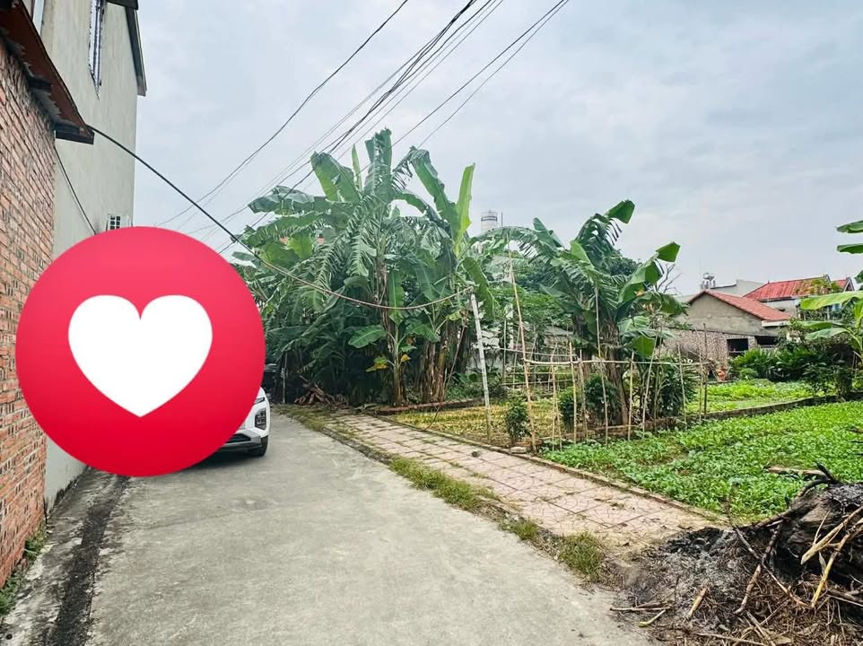 Đất thổ cư 118m² tại Phường Vạn An, Bắc Ninh - Đường xe tải thông thoáng