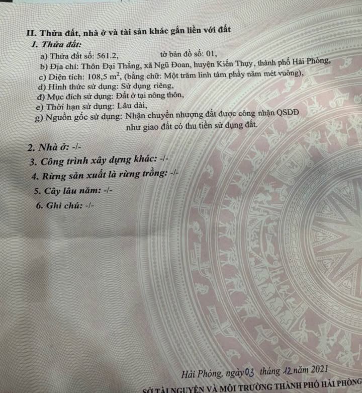 Đất nền Đại Thắng, Kiến Thụy 108.5m² giá 1.2 tỷ - Đường ô tô vào tận nơi!