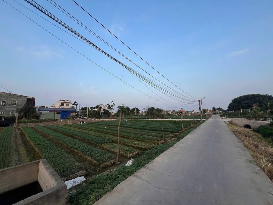 Đất nông nghiệp lô góc Đằng Hải 740m² - Cơ hội đầu tư tuyệt vời!