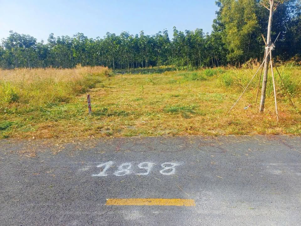 Đất nền Chơn Thành 200m² giá 500 triệu - Đầu tư lý tưởng ngay mặt tiền!