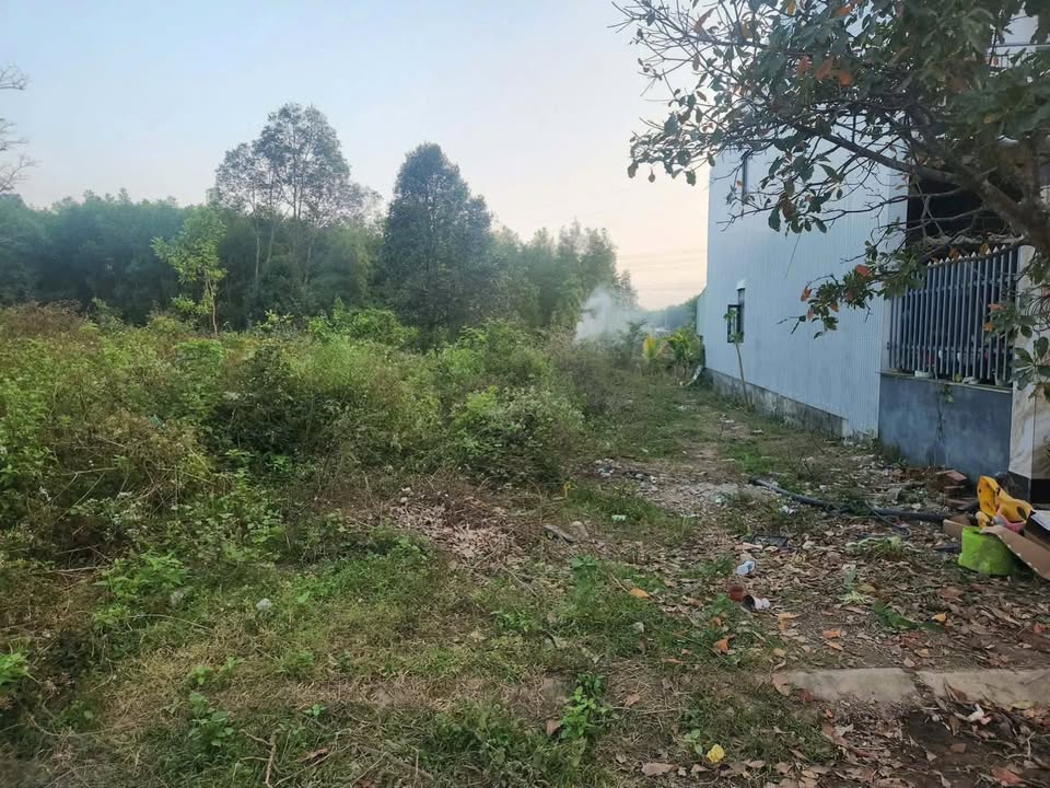 Đất nền Phú Thượng - Hòa Khánh 290m² giá 2 tỷ - Đầu tư sinh lời hấp dẫn!