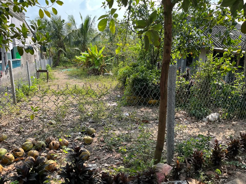 Đất nền Định An, Lấp Vò, 240m² giá 600 triệu - Cơ hội đầu tư tuyệt vời!