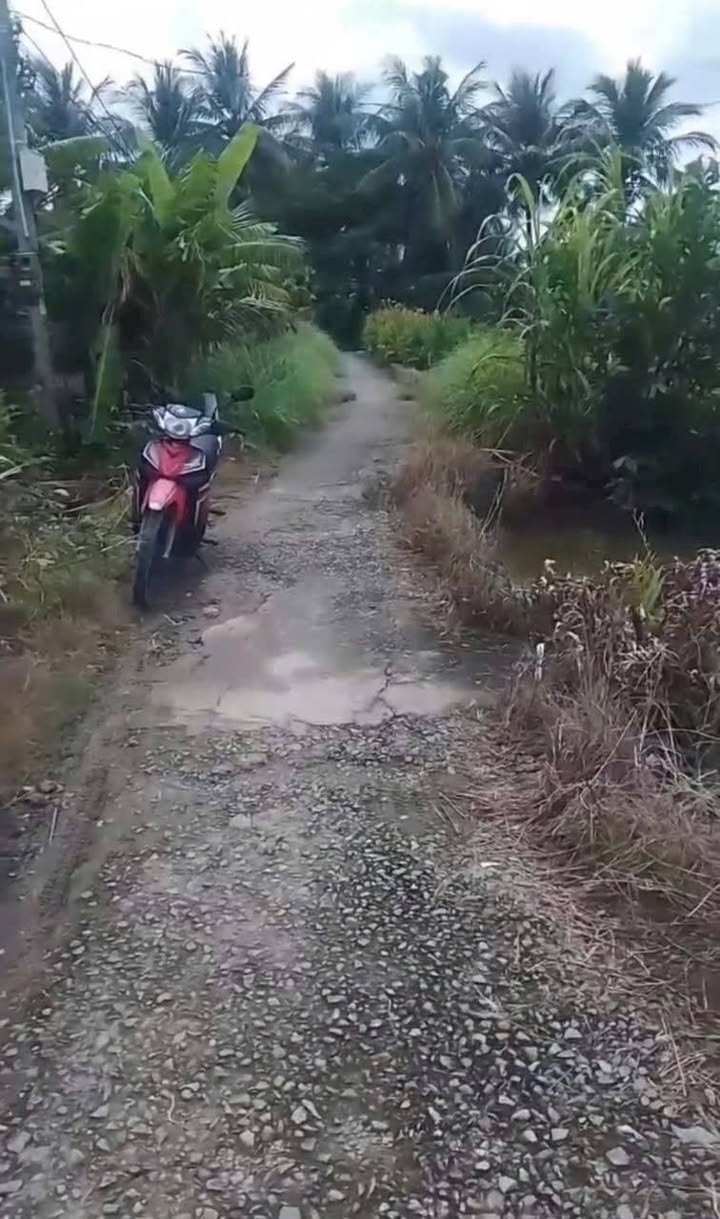 Đất nền mặt tiền Lộ DAL 3M, xã Gia Hòa 1, 260m² chỉ 175 triệu - Cơ hội đầu tư tuyệt vời!