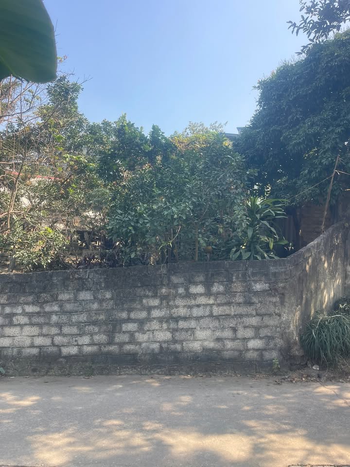 Đất thổ cư 50m² tại Hẻm 18 Đường Tân Quang, Thái Nguyên - Giá thỏa thuận hấp dẫn!