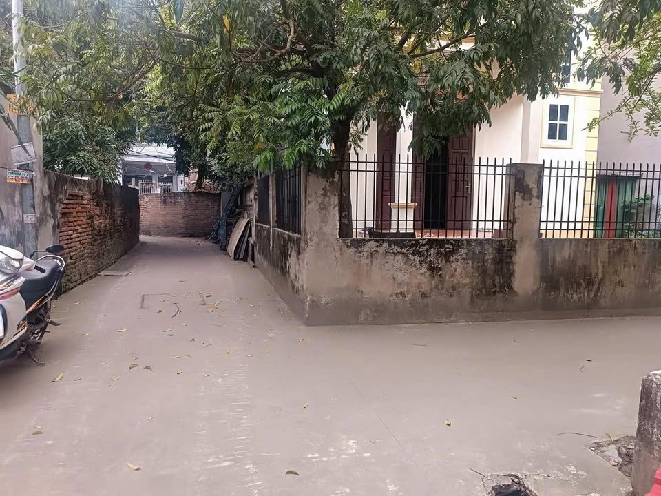 Đất đẹp Chi Đông, Mê Linh 81,2m² giá chỉ 3x triệu/m² - Cơ hội đầu tư hiếm có!