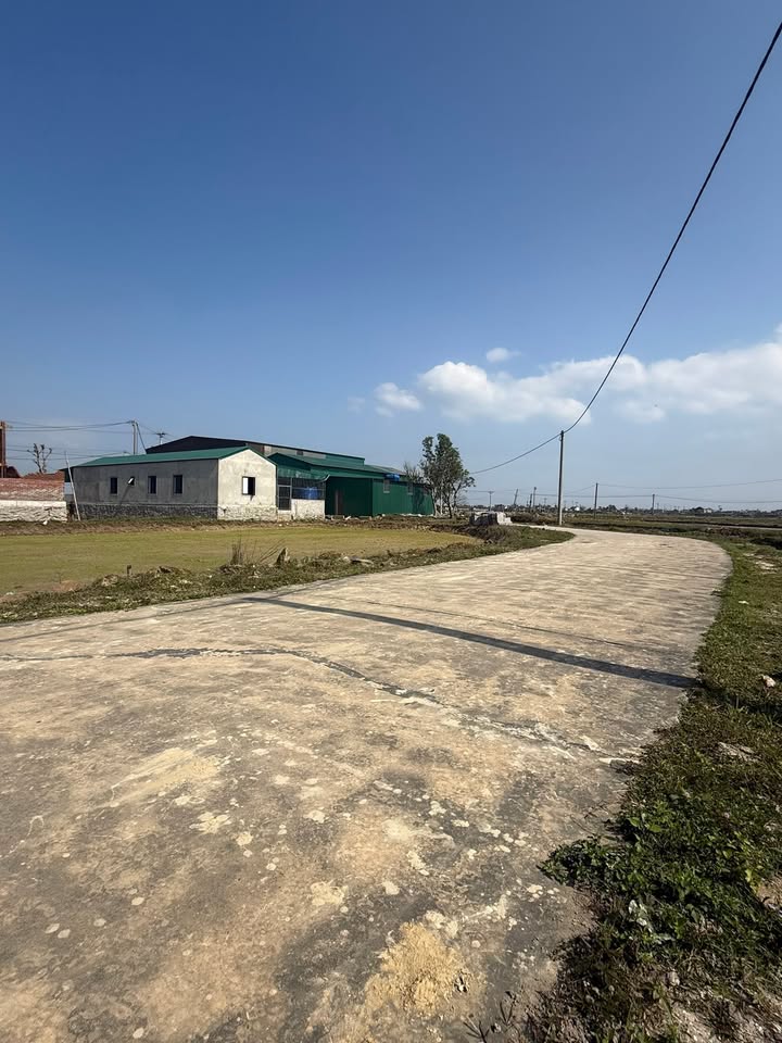 Đất nền Thạch Hoà 210m² giá 1 tỷ - Đường 10m, vị trí đẹp