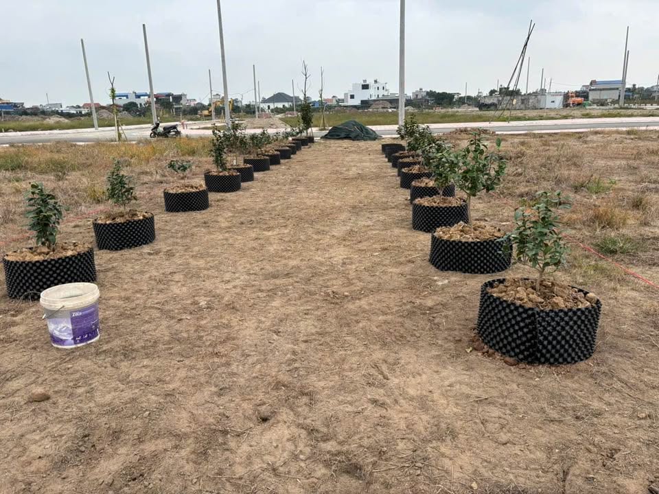 Đất nền TDC Nam Toàn, 106m², giá thỏa thuận - Cơ hội đầu tư hấp dẫn!