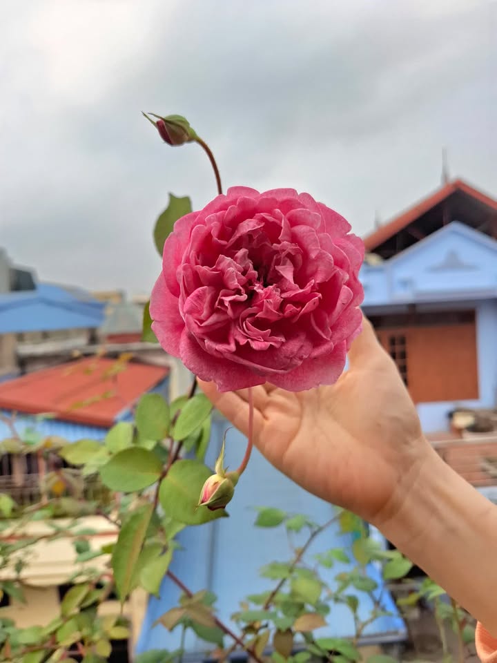 Nhà 4 tầng mặt đường nhánh Ngã 6 Năng Tĩnh 50m² giá 4.45 tỷ - Kinh doanh tiện ích