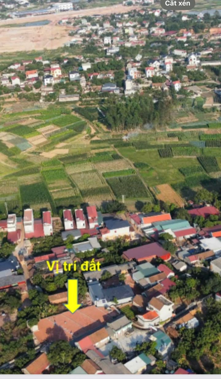 Đất nền Tiên Lục Lạng Giang 204m² giá 700 triệu - Cơ hội đầu tư hiếm có!