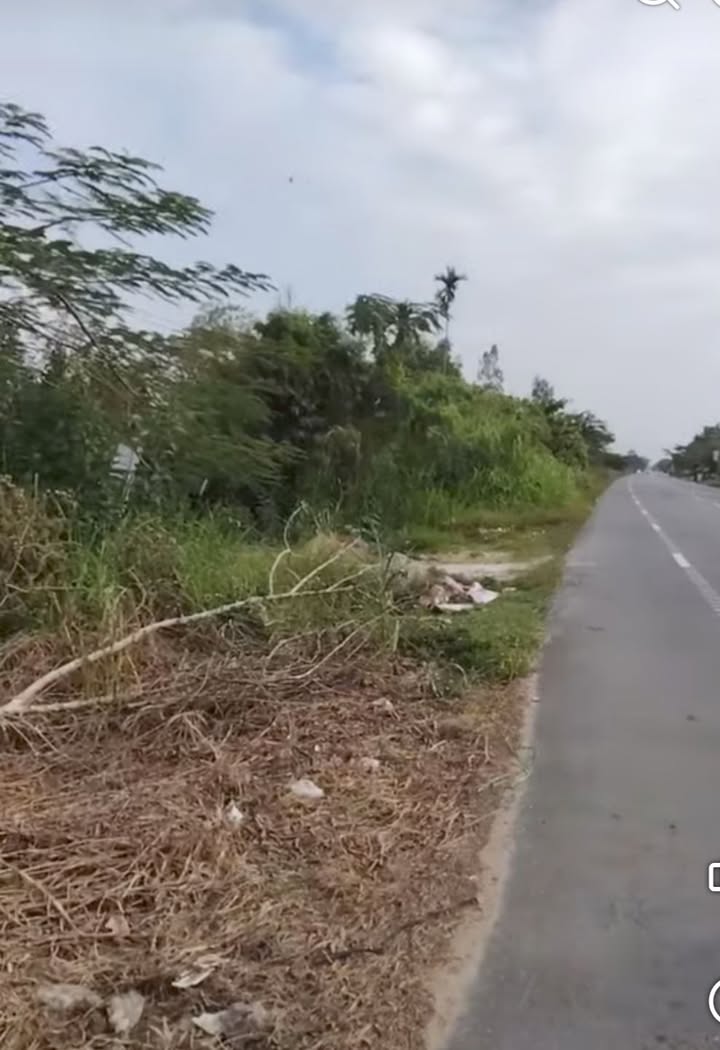 Đất thổ cư mặt tiền QL1A, Sóc Bưng, Thạnh Phú, 1012m² giá 1.84 tỷ - Cơ hội đầu tư tuyệt vời!