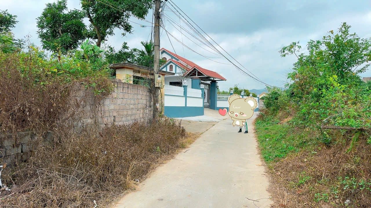 Đất thổ cư Tân Thành, Đông Triều 222m² giá 500 triệu - Cơ hội đầu tư tốt!