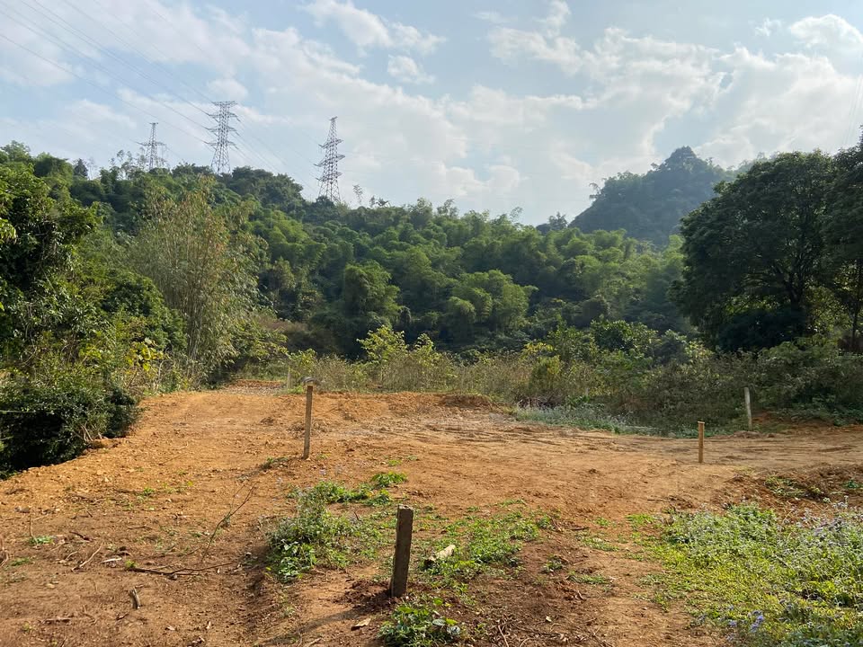 Đất nền 450m² tại Tân Hoà, Phú Thọ - Giá chỉ 1 tỷ, xe ô tô vào tận nơi!