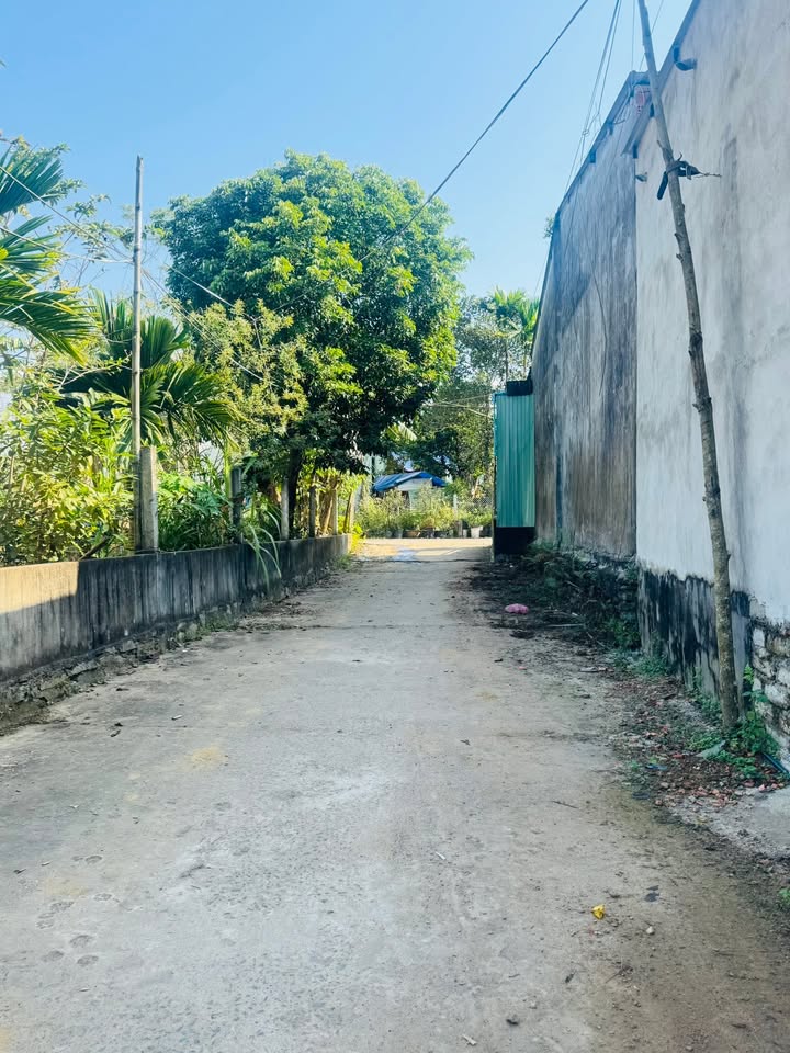 Lô đất kiệt Xuân Phú, Liên Chiểu, Đà Nẵng 171m² giá 1.49 tỷ - Đầu tư sinh lời ngay!