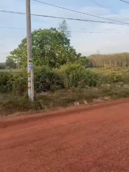 Đất nền Mỹ Phước 250m² giá 1.3 tỷ - Pháp lý rõ ràng, hỗ trợ ngân hàng!