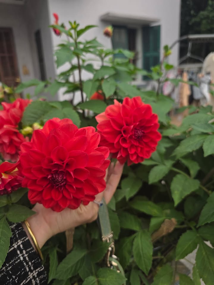 Đất nền 100m² tại xã Phù Vân, 1.286 tỷ - Đường ô tô đi vào