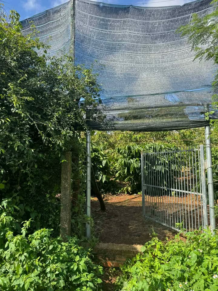 Đất nền Huyện Hàm Thuận Nam 385m² giá 890 triệu - Cơ hội đầu tư tuyệt vời!