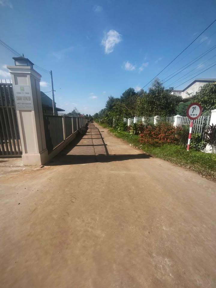 Đất thổ cư hẻm cấp 1 Xã Cuor Đăng 240m² giá 1.4 tỷ - Vị trí tiềm năng!