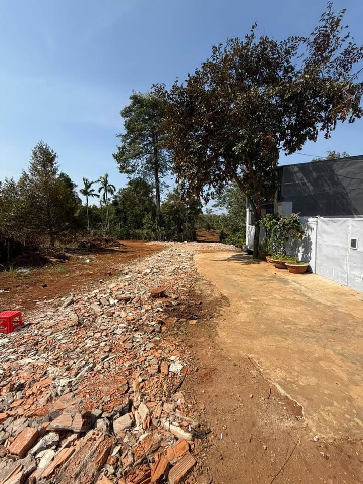 Đất thổ cư tại phường Tân Lập, Buôn Ma Thuột 150m² chỉ 1.25 tỷ - Cơ hội đầu tư tuyệt vời!