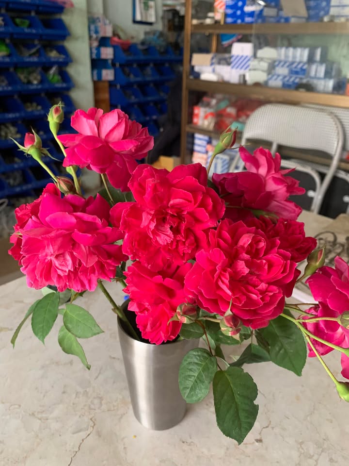 Đất nền tái định cư Y Can 112m² giá 1.4 tỷ - Đầu tư thông minh!