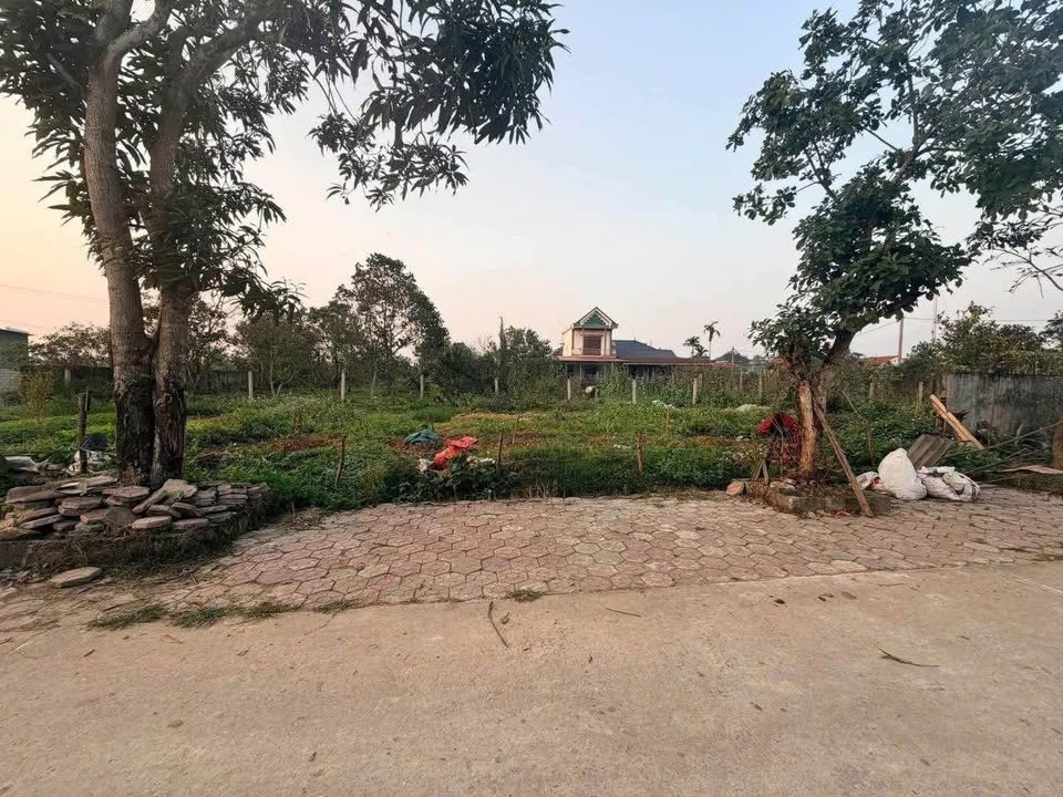 Đất nền Thạch Kim 136m² giá 1 tỷ - Đường rộng ô tô vào tận nơi!